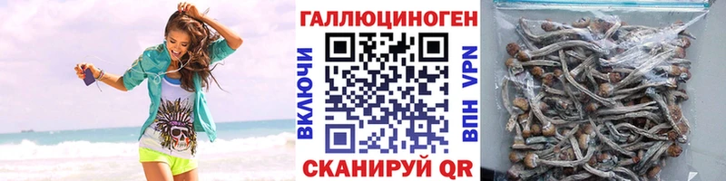 Галлюциногенные грибы мицелий  omg ссылки  Камызяк 