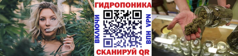 Бошки Шишки план  Камызяк 